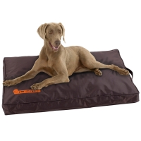 Coussin pour chien NO LIMIT marron