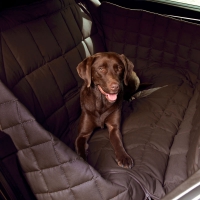 Couverture de protection banquette arrière 3 sièges Doctor Bark marron