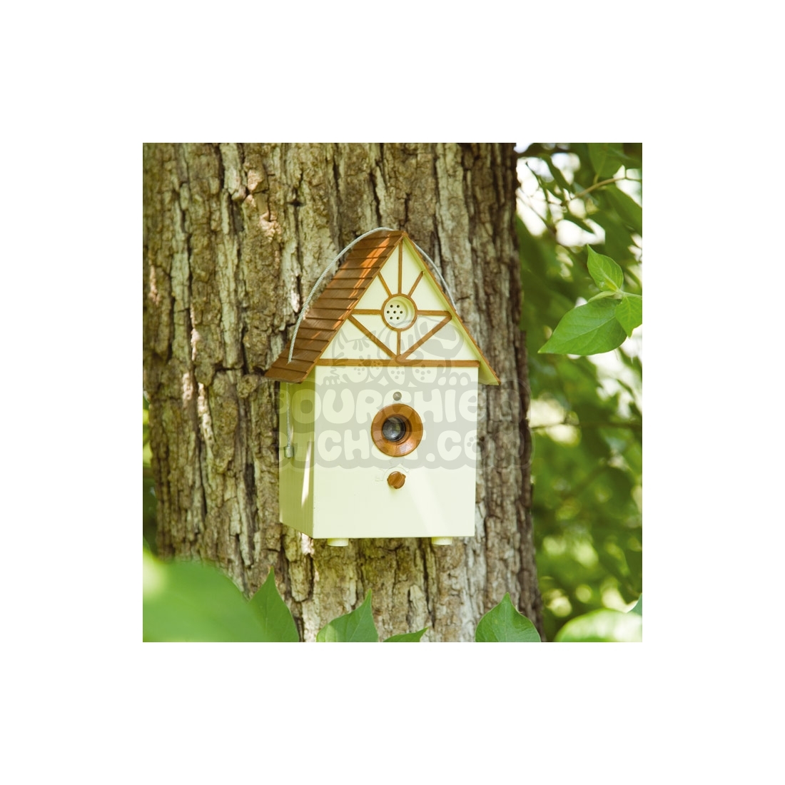 Boitier anti-aboiement ultrasonique PetSafe PBC19-11794 Boitier anti-aboiement ultrasonique PetSafe PBC19-11794