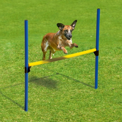 Kit Agility