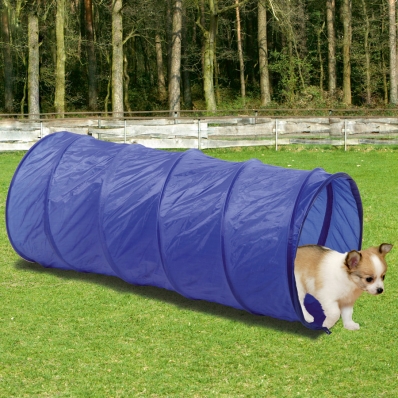 Kit Agility