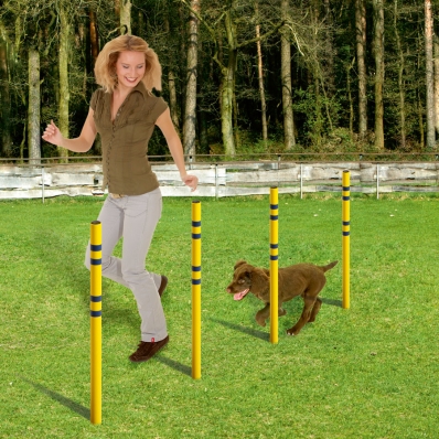 Kit Agility