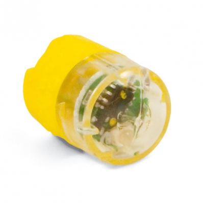 Clé de collier infrarouge Staywell