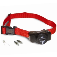 Collier anti-fugue PetSafe PIG19-10761