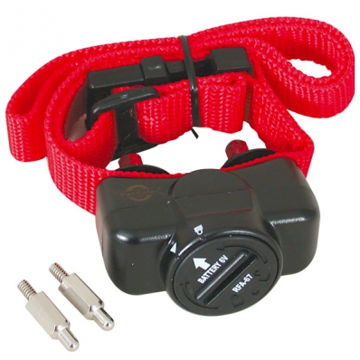 Collier anti-fugue PetSafe PIG19-10761