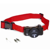 Collier anti-fugue PetSafe PIG19-10764