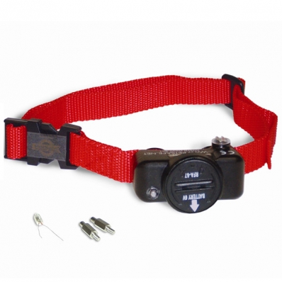 Collier anti-fugue PetSafe PIG19-10764