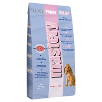 Mastery Chien Puppy First Age