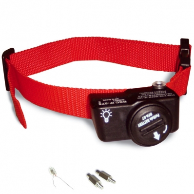 Collier anti-fugue PetSafe PWF19-10762