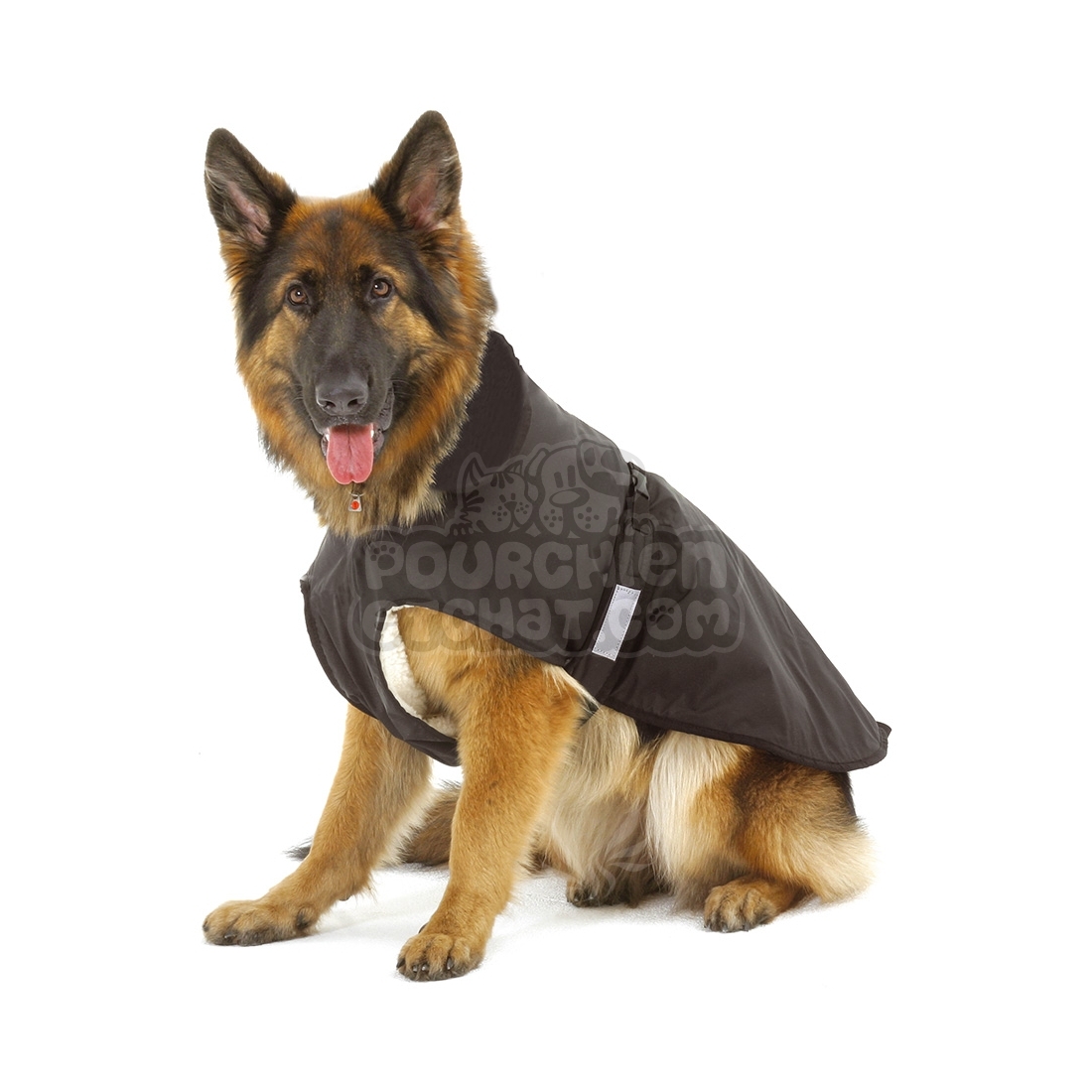 manteau chien noir