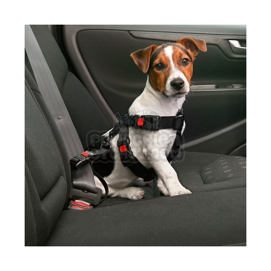 Laisse de securite auto pour chien – MadeInHobbies