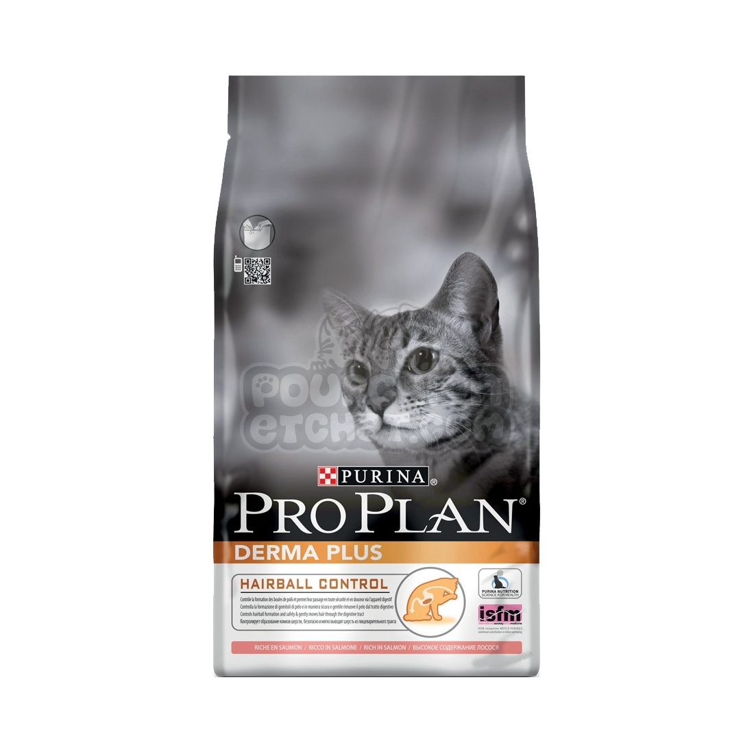 blueprint pro plus blueprint pro plus