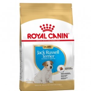 Royal Canin Mini Breed Jack Russel Junior