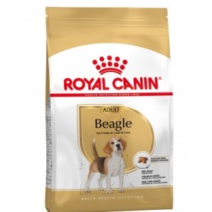 Royal Canin Medium Breed Beagle Adult