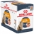 Sachets repas Royal Canin Intense Beauty