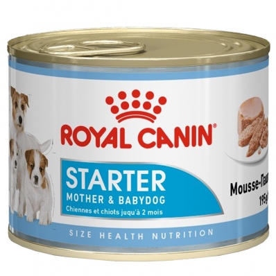 Boîtes Royal Canin Starter Mousse