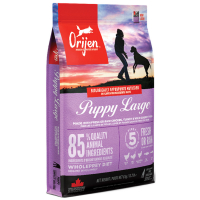 Croquettes chien Orijen Puppy Large