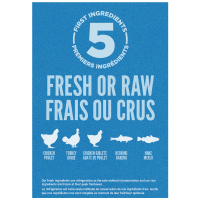 Croquettes chien Orijen Adult Dog Original