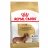 Royal Canin Mini Breed Dachshund - Teckel Adult