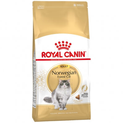Royal Canin Feline Breed Nutrition Norwegian Forest Adult