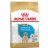 Royal Canin Maxi Breed Labrador Retriever Junior