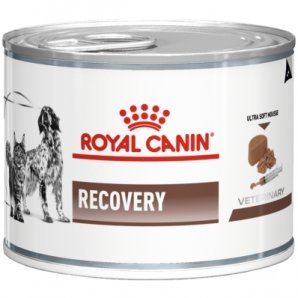 Boîtes Royal Canin Veterinary Diet Recovery