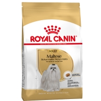 Royal Canin Mini Breed Bichon Maltais Adult