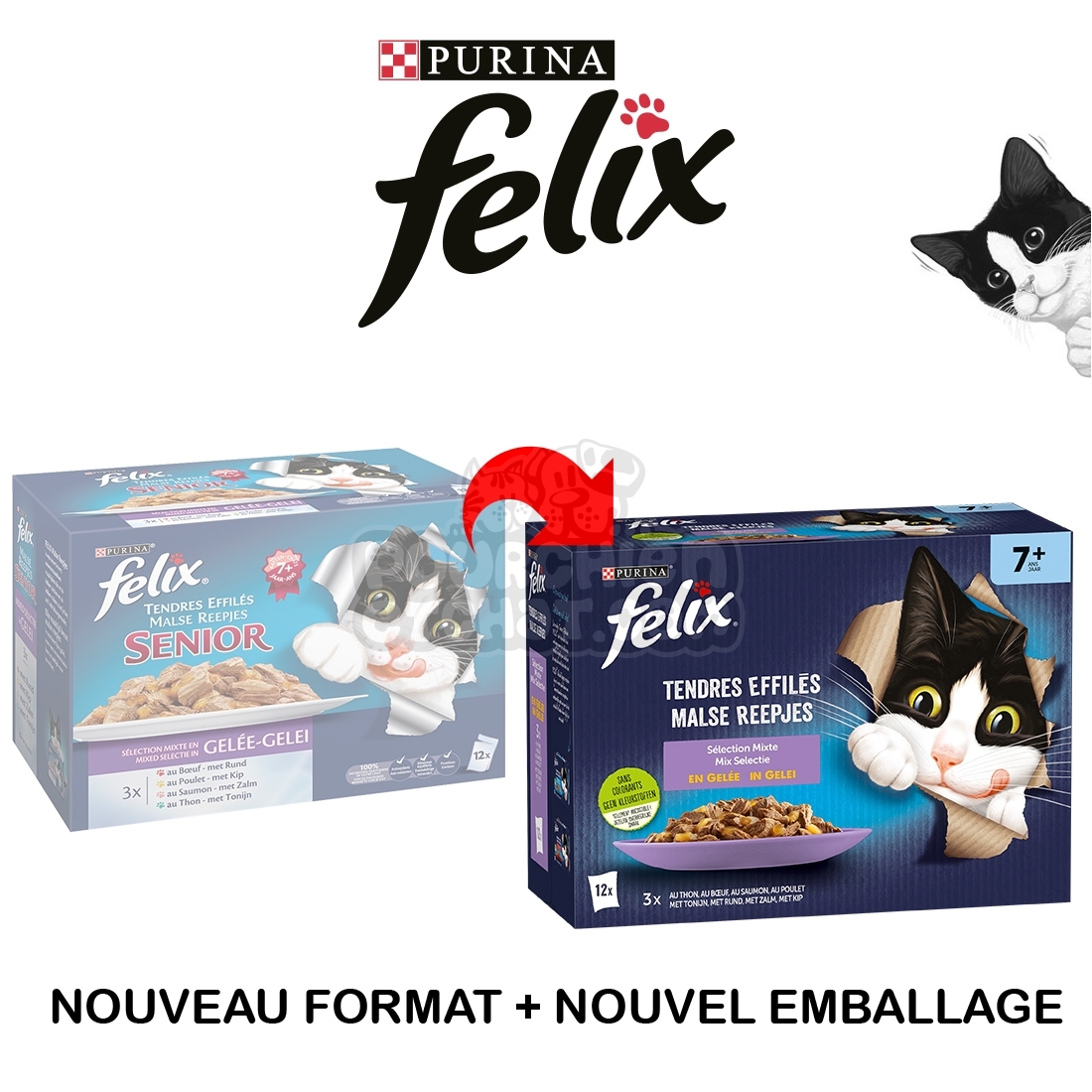 FELIX Chaque jour est une fête - Poisson - 7+ Senior - Nourriture