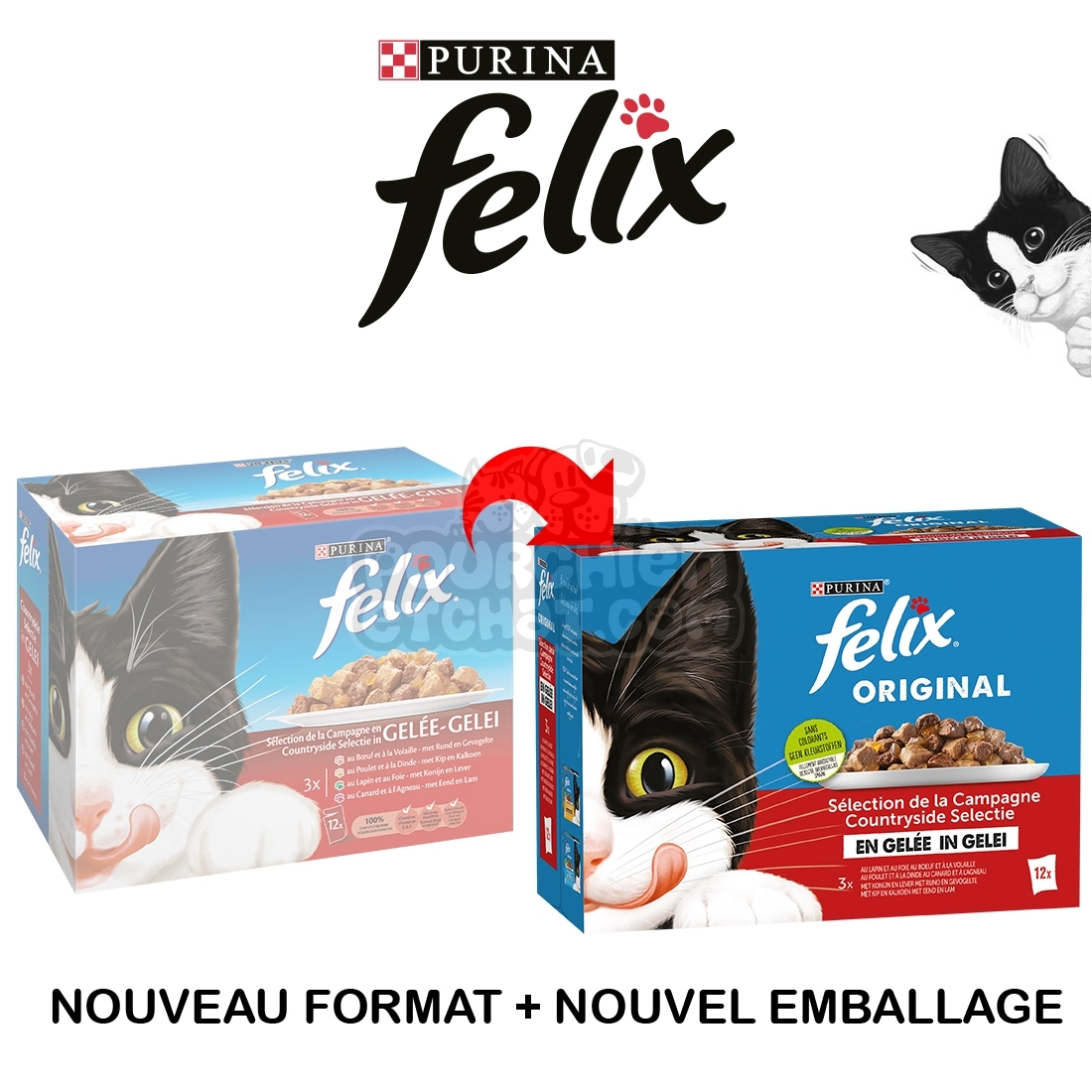 Mégapack Purina Felix Sélection aux viandes en gelée pour chat 44 x85g