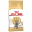 Royal Canin Feline Breed Nutrition British Shorthair 34 Adult