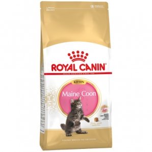 Royal Canin Feline Breed Nutrition Maine Coon 36 Kitten